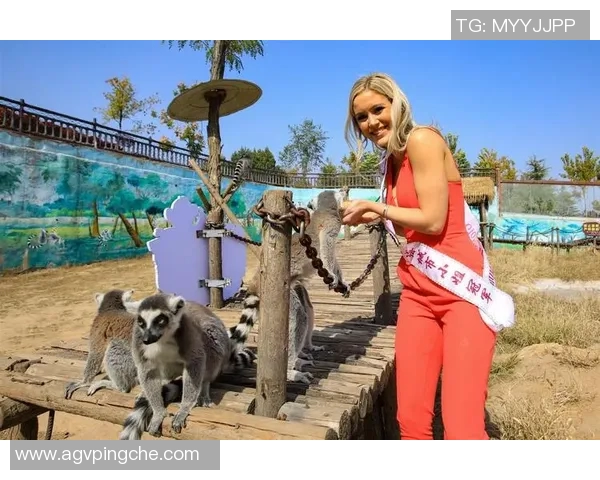 足球明星变身动物世界 盘点那些拥有球场魅力的动物形象